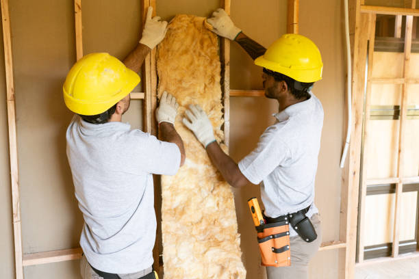 Best Eco-Friendly Insulation Solutions  in , CO